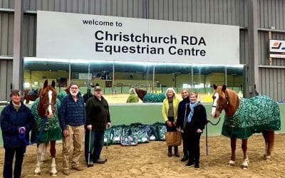 No Horsing Around Here